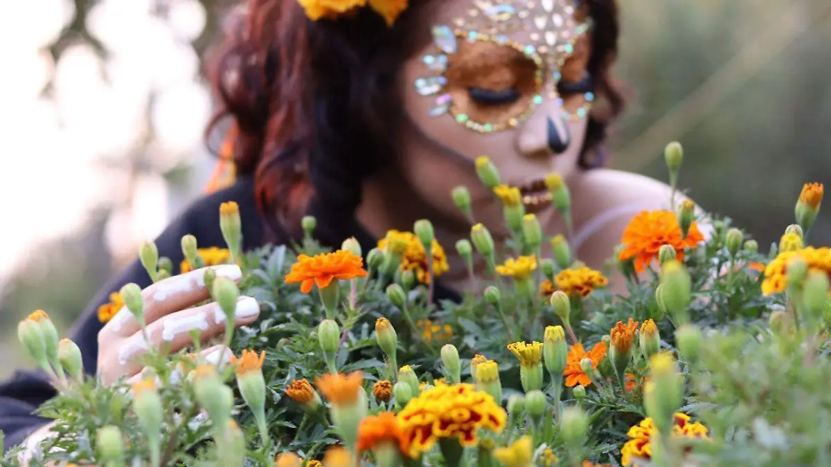 cempasuchitl-jiutepec-dos