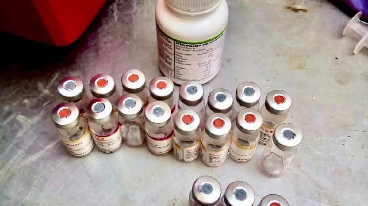 Mascotas Centro de Acopio Cuernavaca (3)