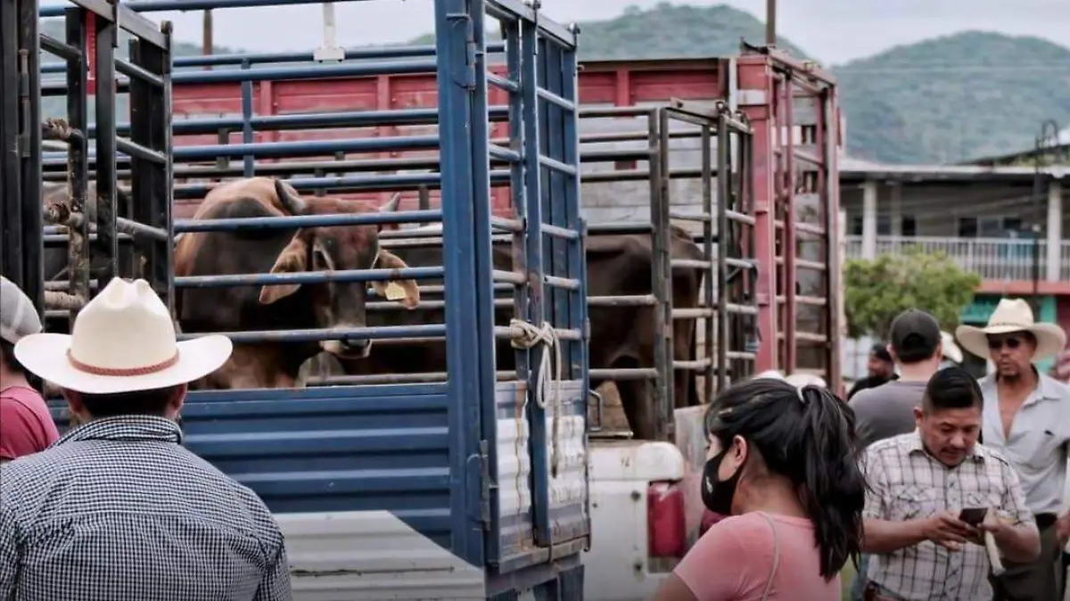 WhatsApp Image 2021-06-21 at 8.02.45 PM