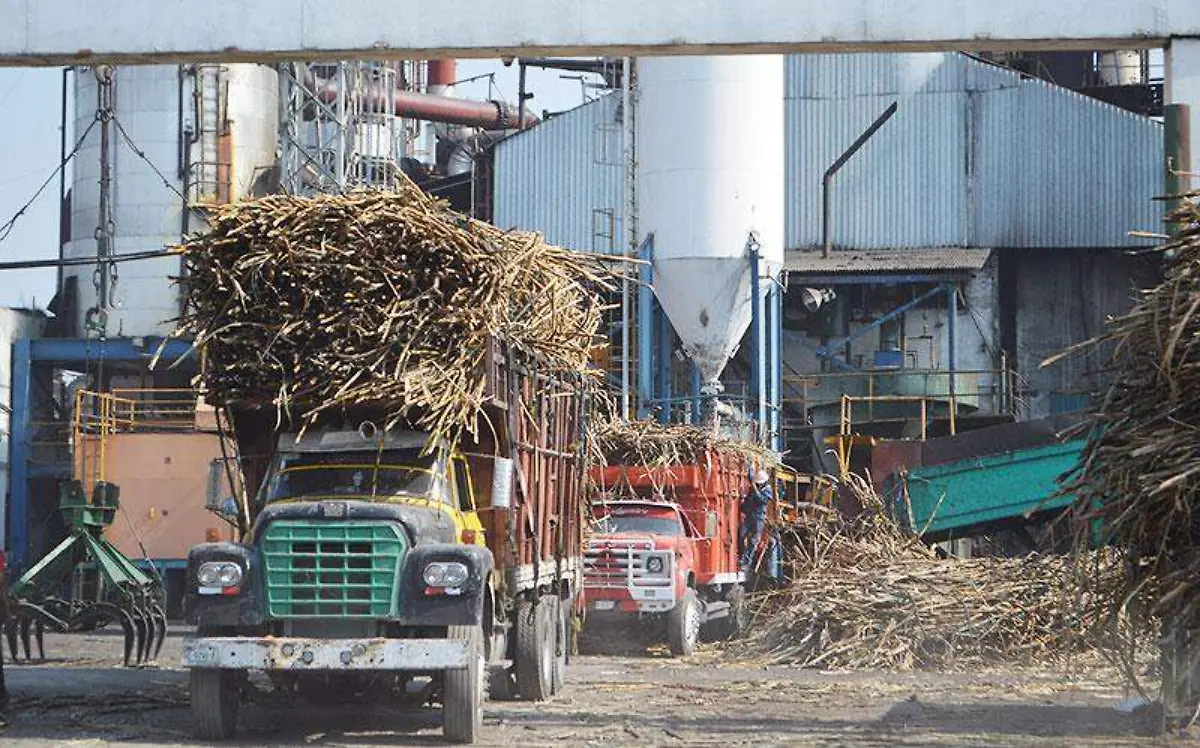 crsisis-cañera-en-morelos-1