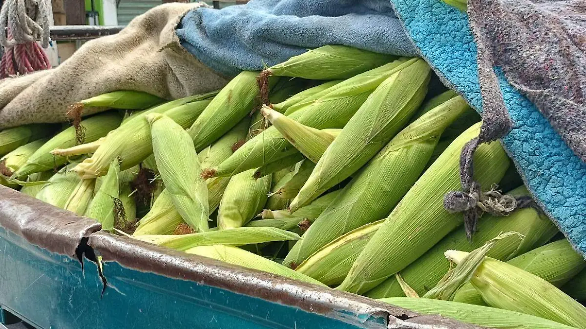 cultivos-ejidos-zona-sur-morelos-foto-ange-albarran