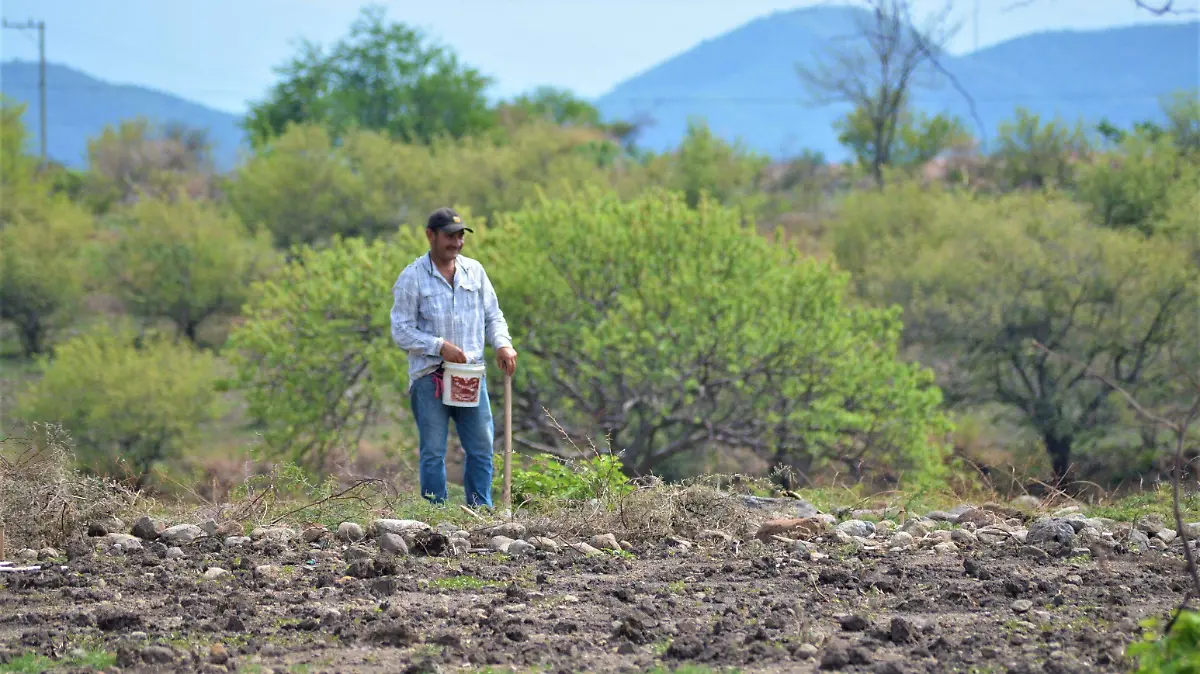 El suelo como recurso natural