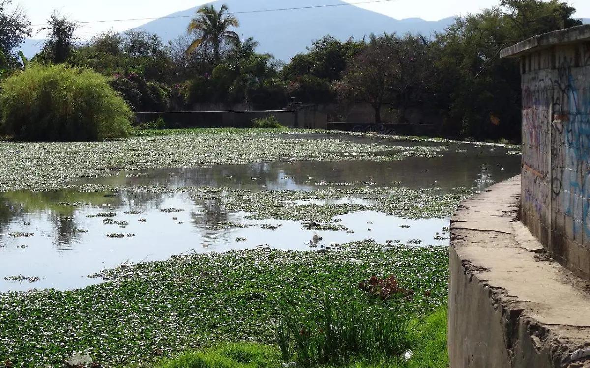 WhatsApp Image 2019-05-04 at 3.48.04 PM