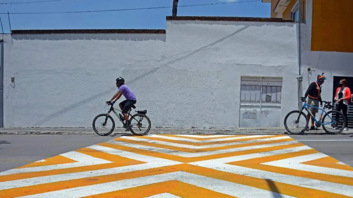 ciclovía-palmira-froylán