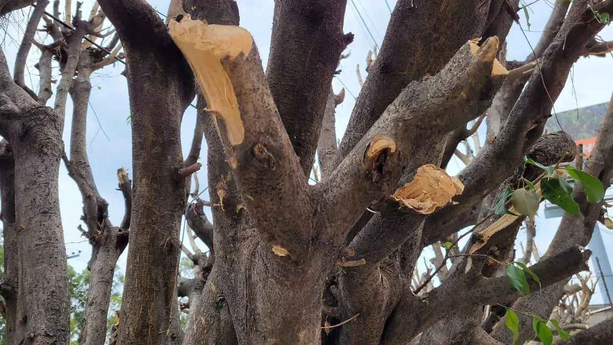 WhatsApp Image 2021-06-14 at 13.05.48