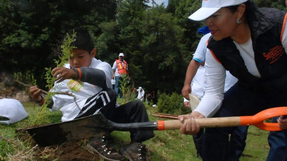 reforestan2