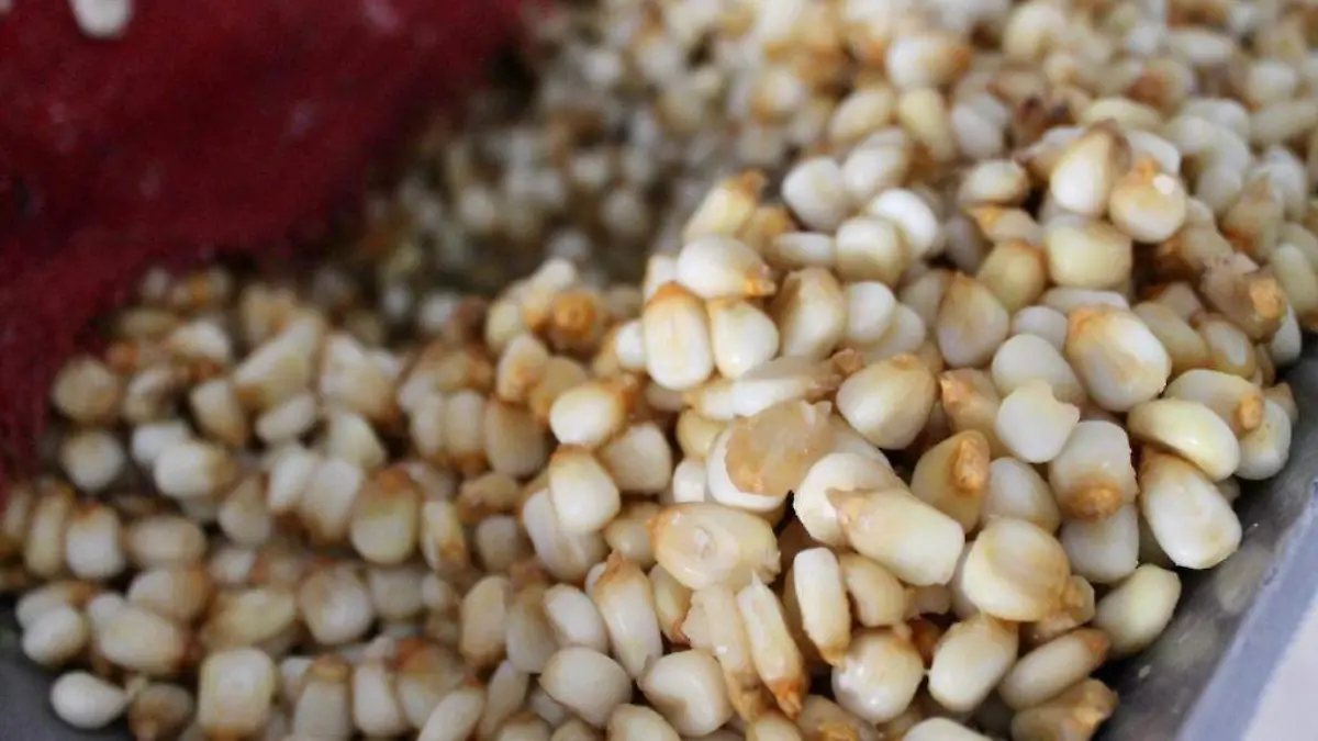 maiz-morelos-agustín