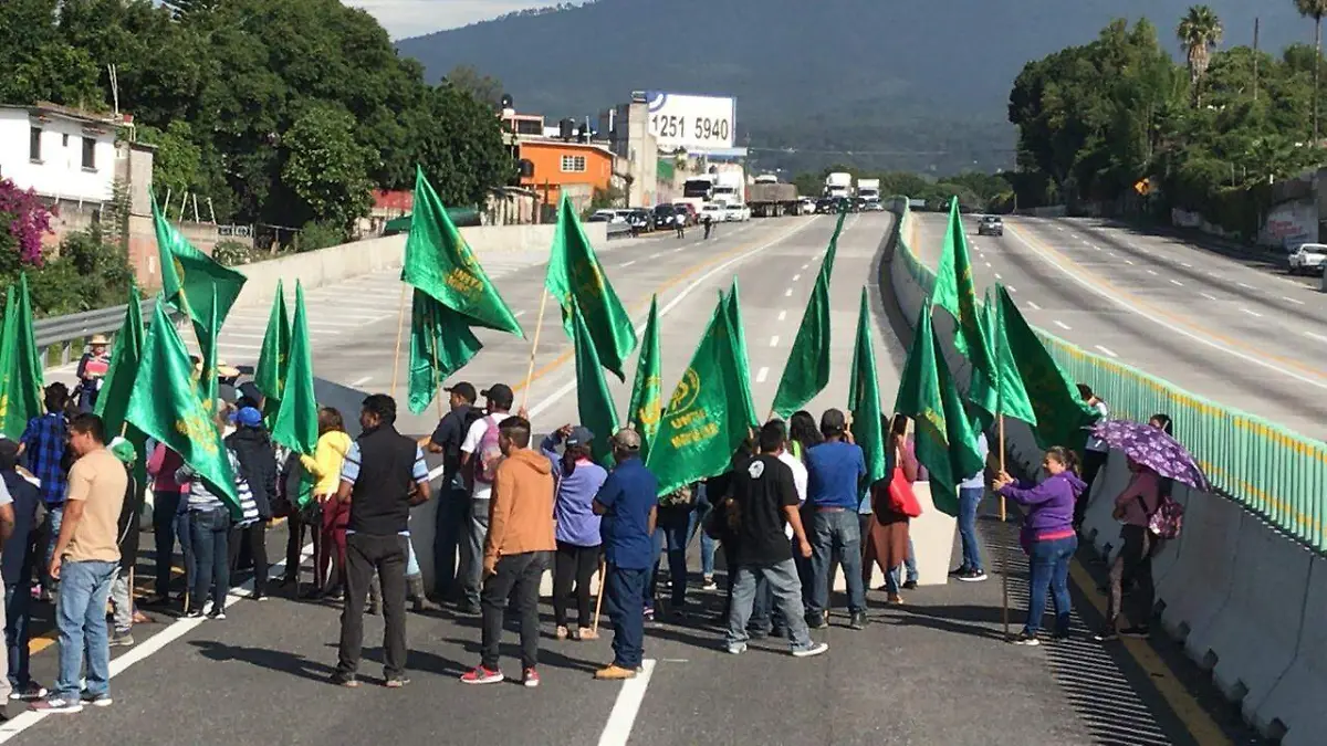 UNTA EN EL PASO EXPRÉS (8)