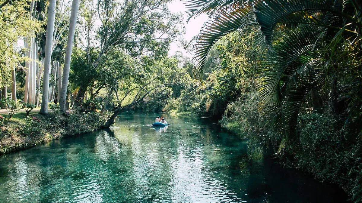 WhatsApp Image 2020-09-06 at 7.28.23 PM