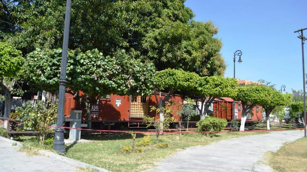 WhatsApp Image 2020-11-18 at 5.19.04 PM