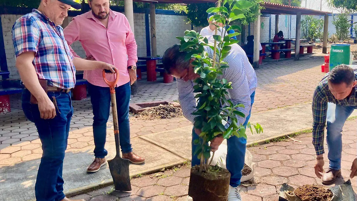 reforestacion-jiutepec