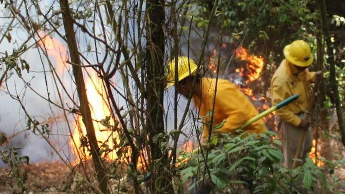 incendios-forestales-archivo