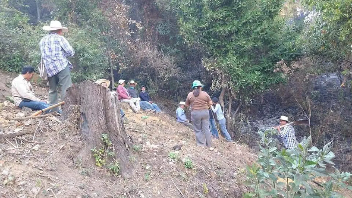 incendio en hueyapan es apagado por pobladores