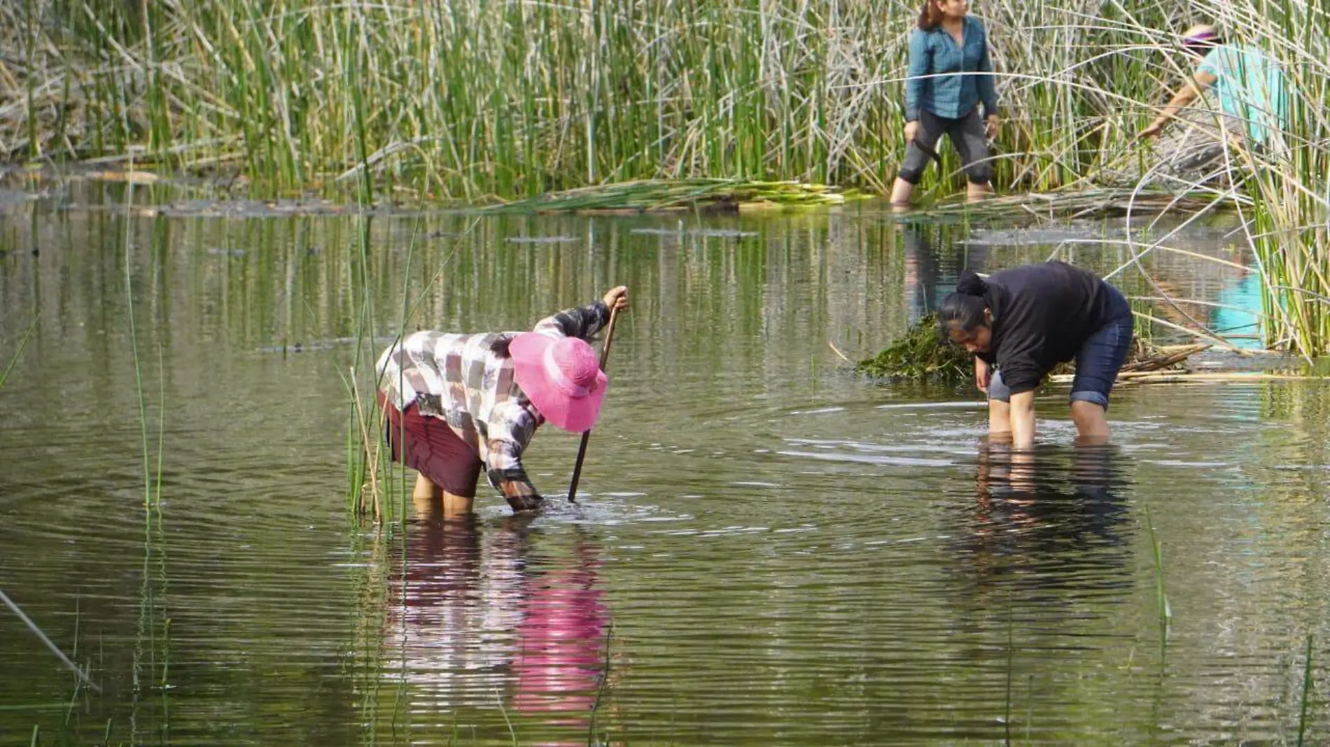 laguna-hueyapan-jiutepec