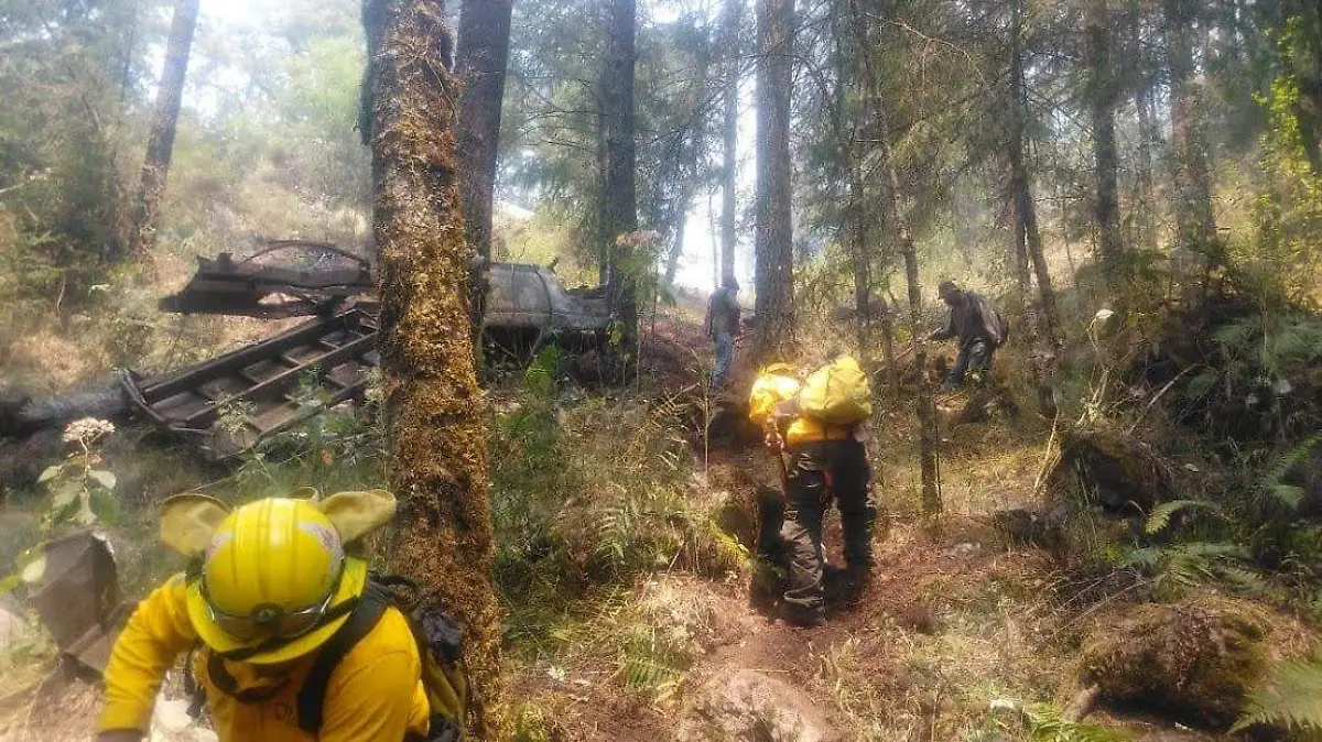 WhatsApp Image 2021-04-21 at 18.24.18