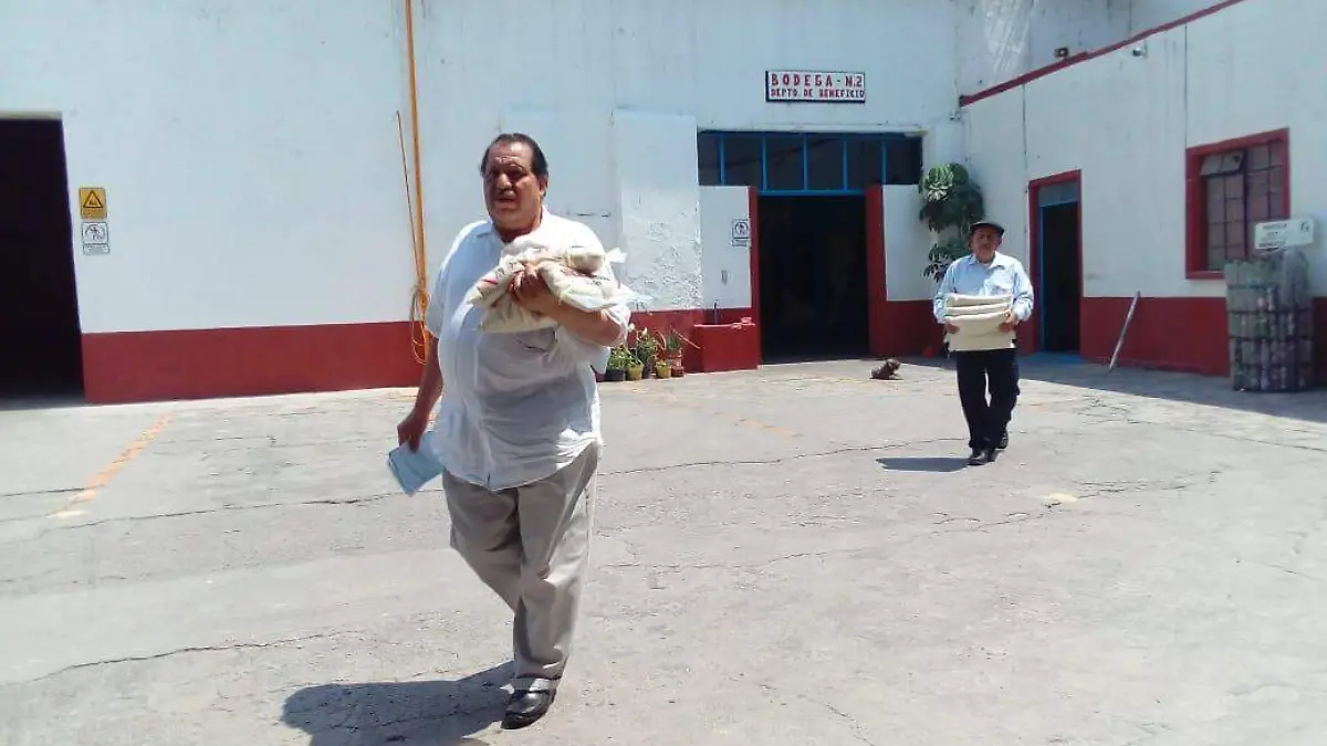 Apoyos a productores de arroz