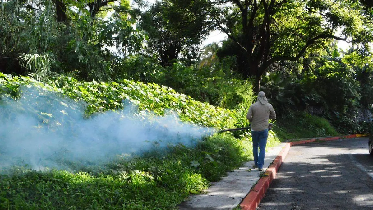 Nebulizacion-dengue-brigada