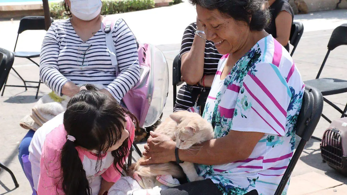 esterilizacion-jiutepec (2)