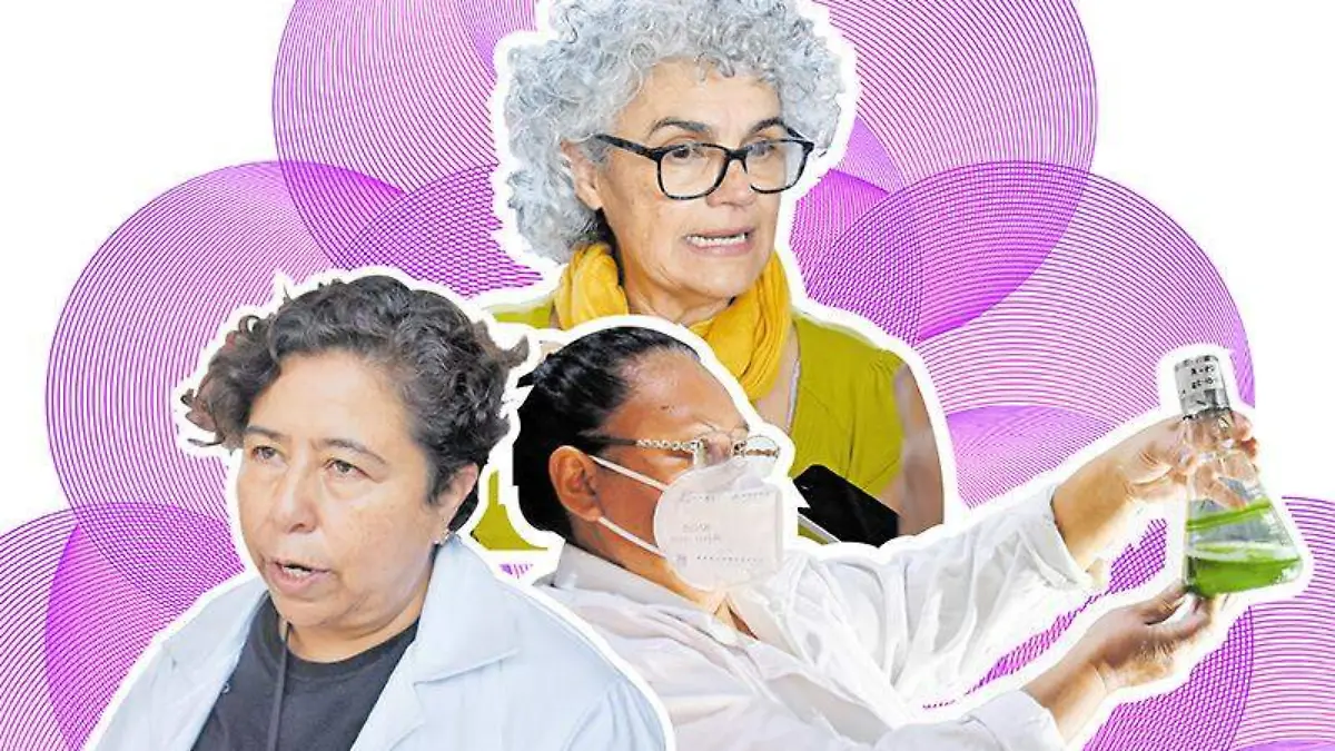 7_Mesa de trabajo 1