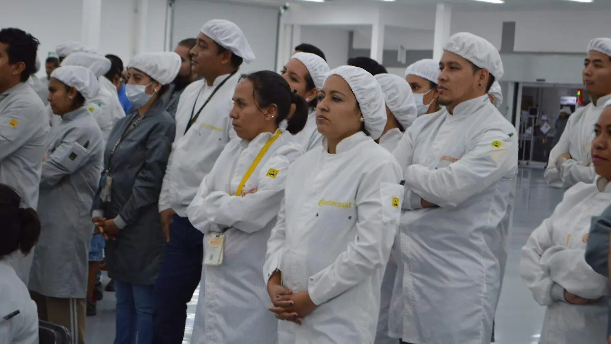 trabajos-morelos-trabajadores (2)