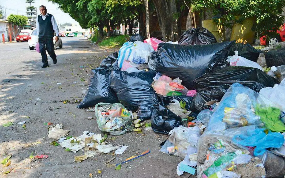 HAIDEE-F-02A-(5)-cuerna