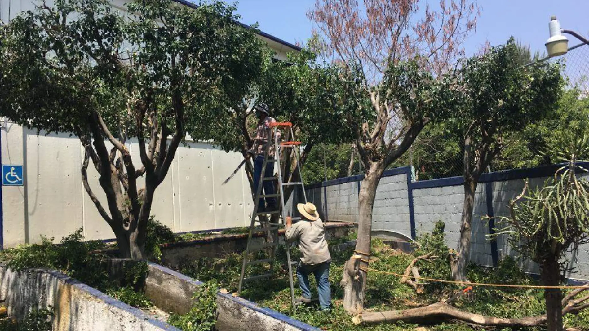 jiutepec-mantenimiento-escuelas