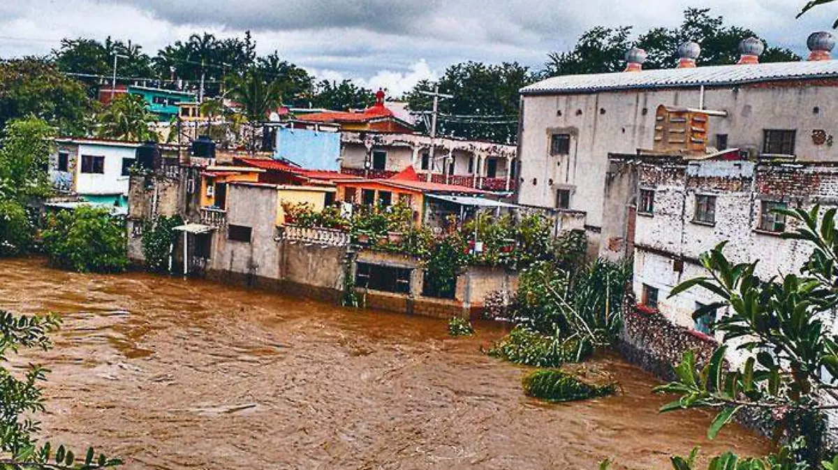 1-PRINCIPAL-309-ANGE