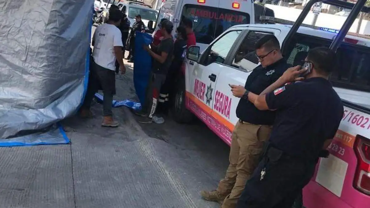 WhatsApp Image 2023-09-27 at 3.46.05 PM