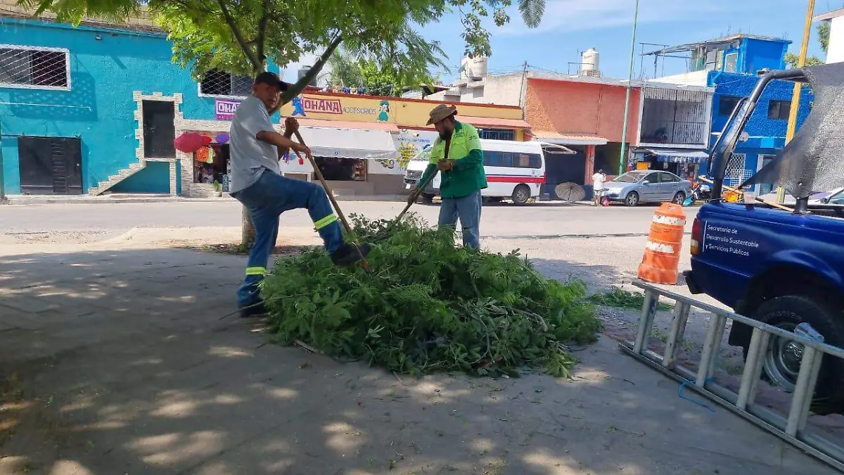 jornada-limpieza-valeria 