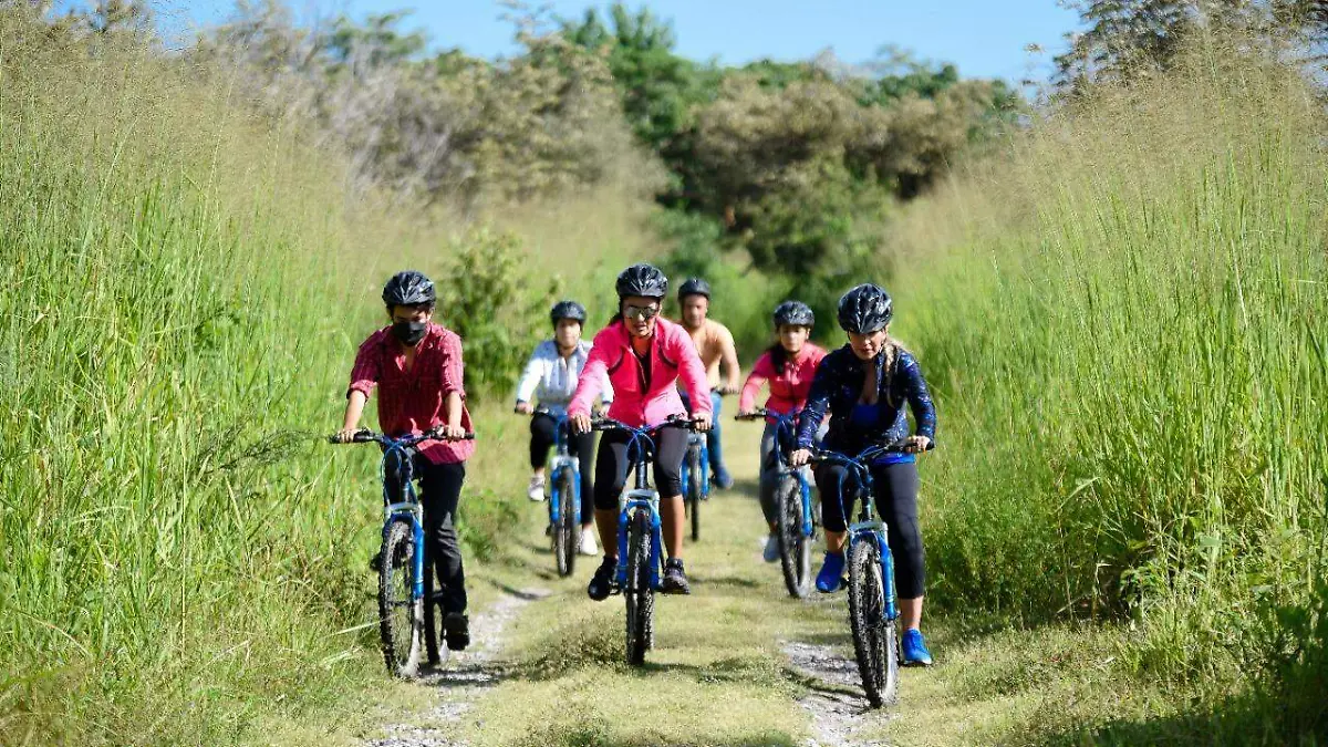 WhatsApp Image 2021-04-01 at 11.11.31