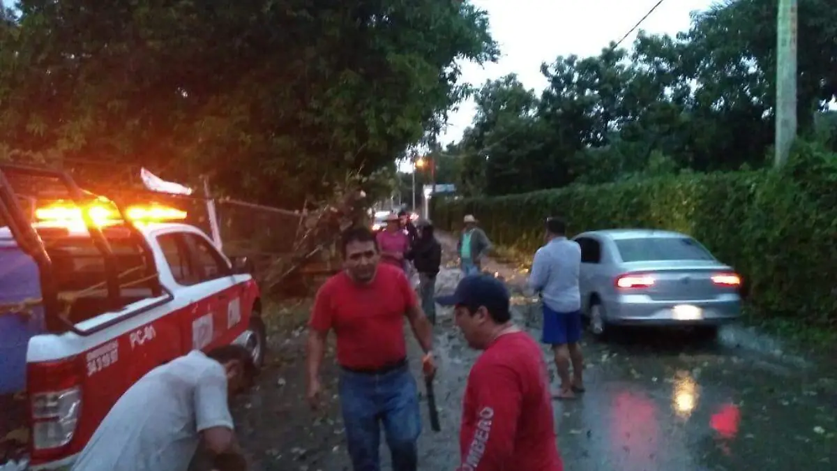 Daños por lluvias (7)