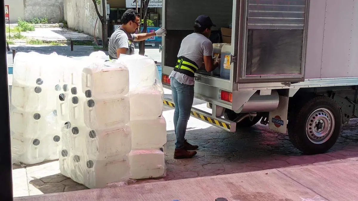 aceite-vegetal-angelina