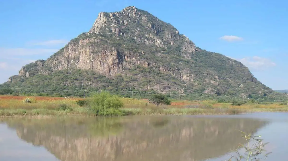 WhatsApp Image 2021-05-11 at 16.30.39 (2)