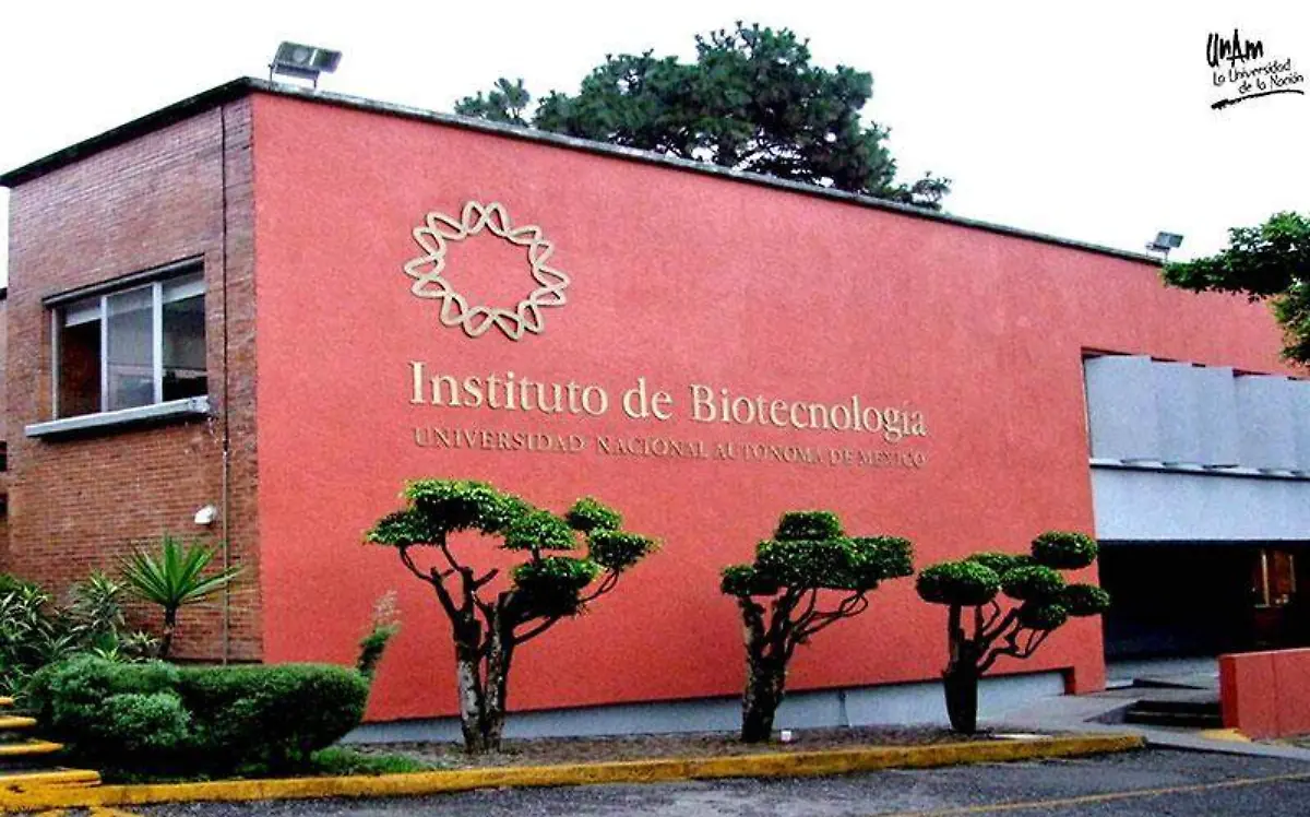 ibt-unam-morelos
