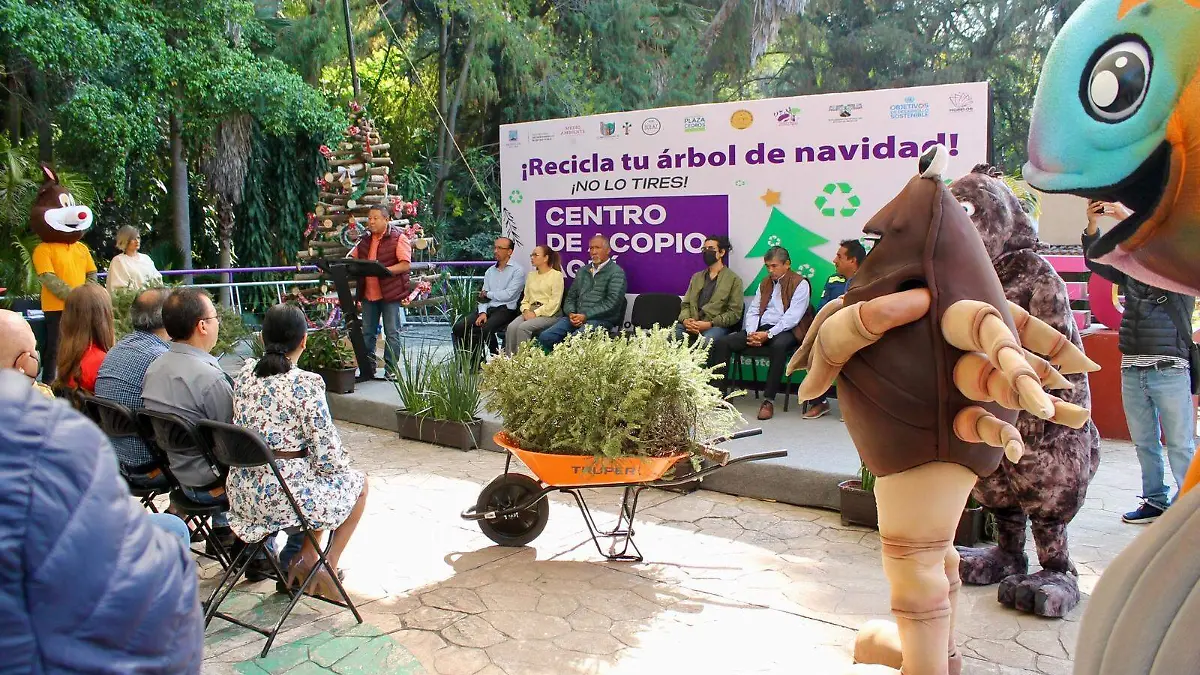 recicla-tu-árbol-navideño-agustín