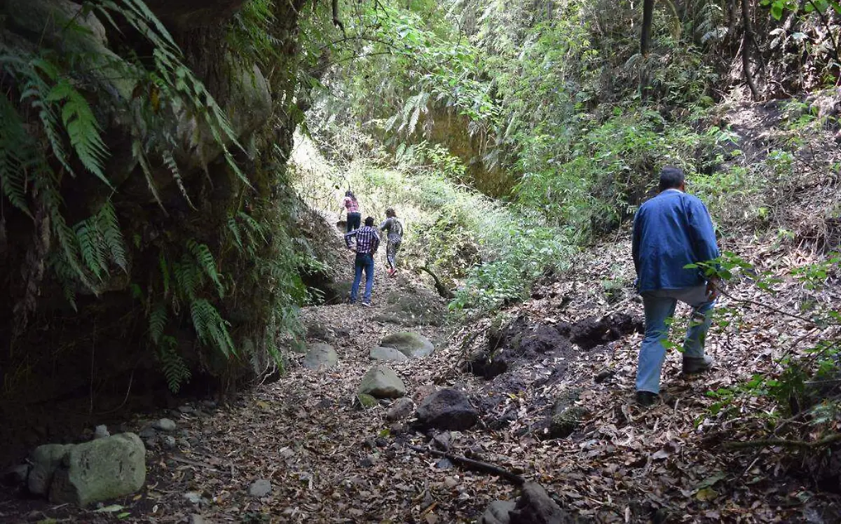 Emmanuel Nota 4 (cortesía) (1) (5)