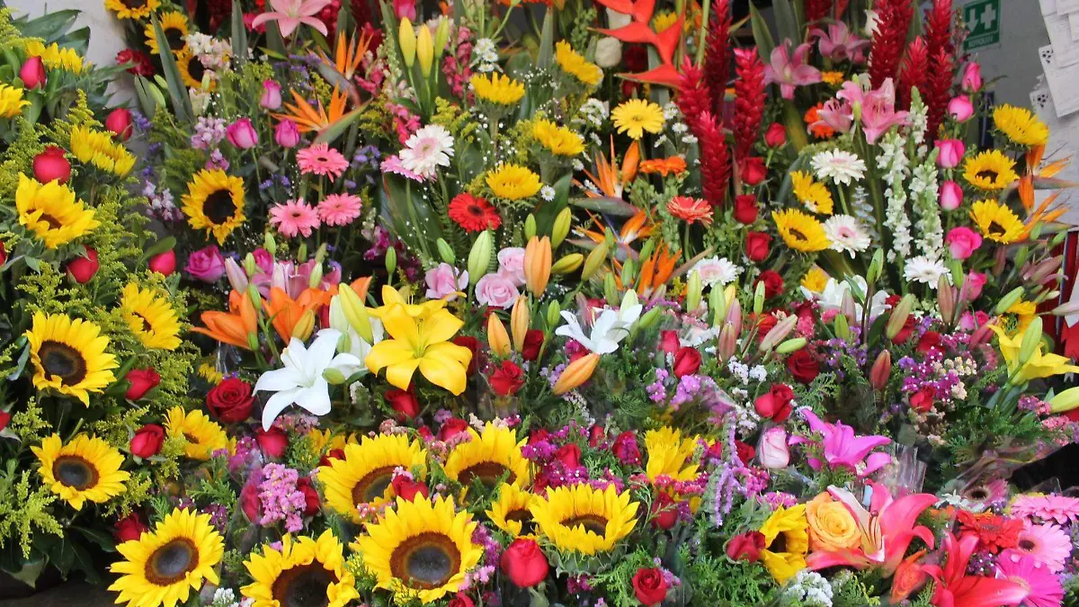 ramos-buchones-agustín