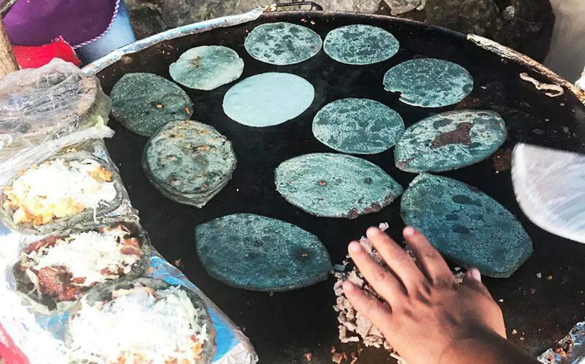 tlacoyos-cuernavaca-1