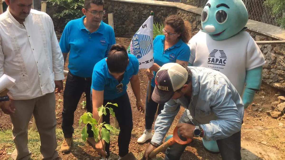 Campaña de reforestación (3)