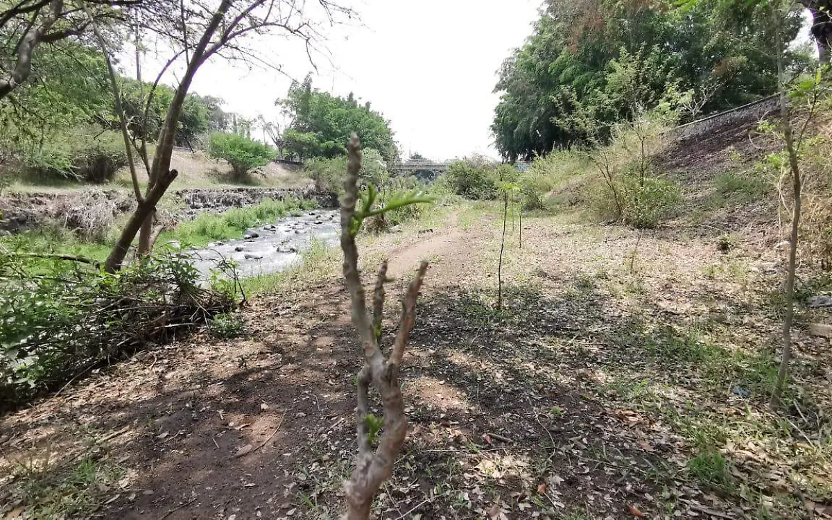 rosaura-hernández