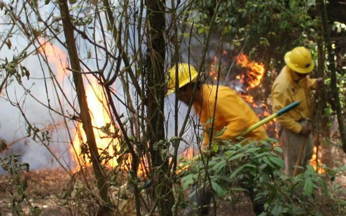 incendios-forestales