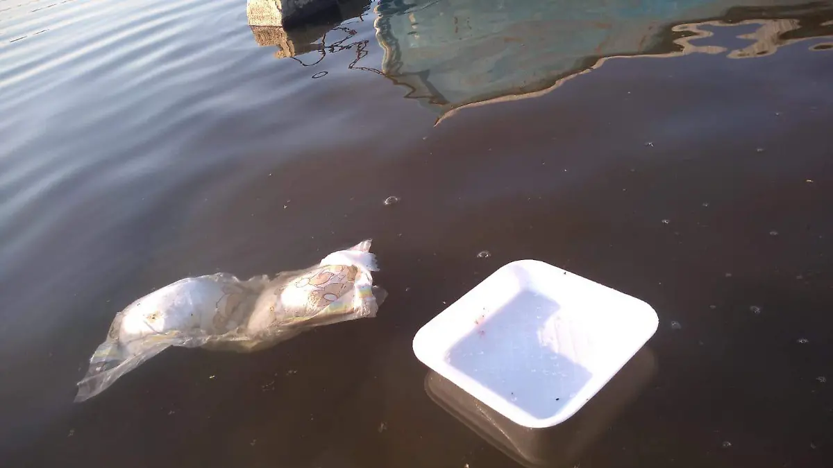 Basura-coatetelco-turistas