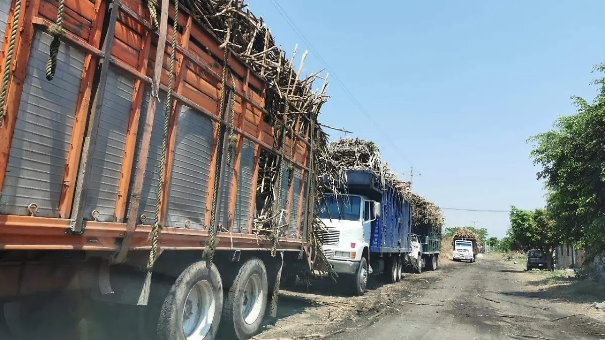 WhatsApp Image 2021-01-17 at 5.00.51 PM