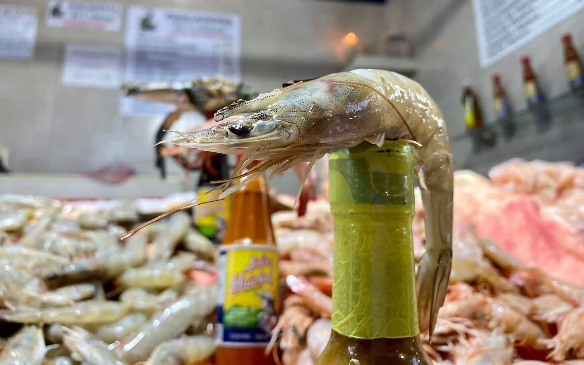 mariscos-ventas