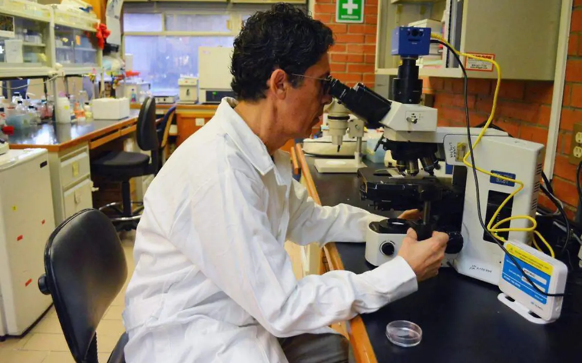 WhatsApp Image 2019-07-21 at 5.19.42 PM