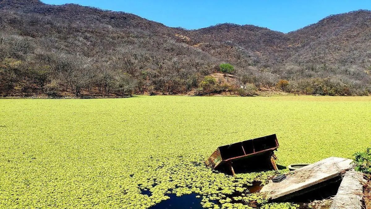 presas-arsenico-crisis-huautla (2)