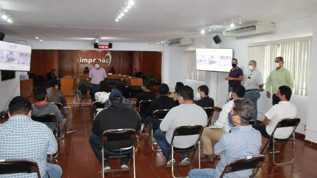 Capacitacion-impepac-consulta