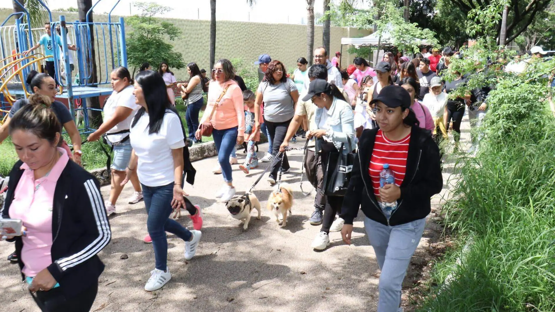 croquetón-perritos-cuernavaca-luis