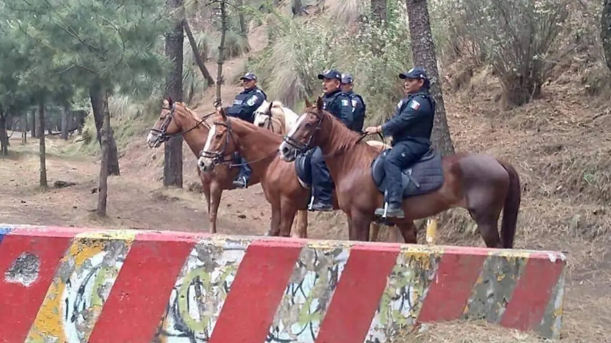 ciclopista2