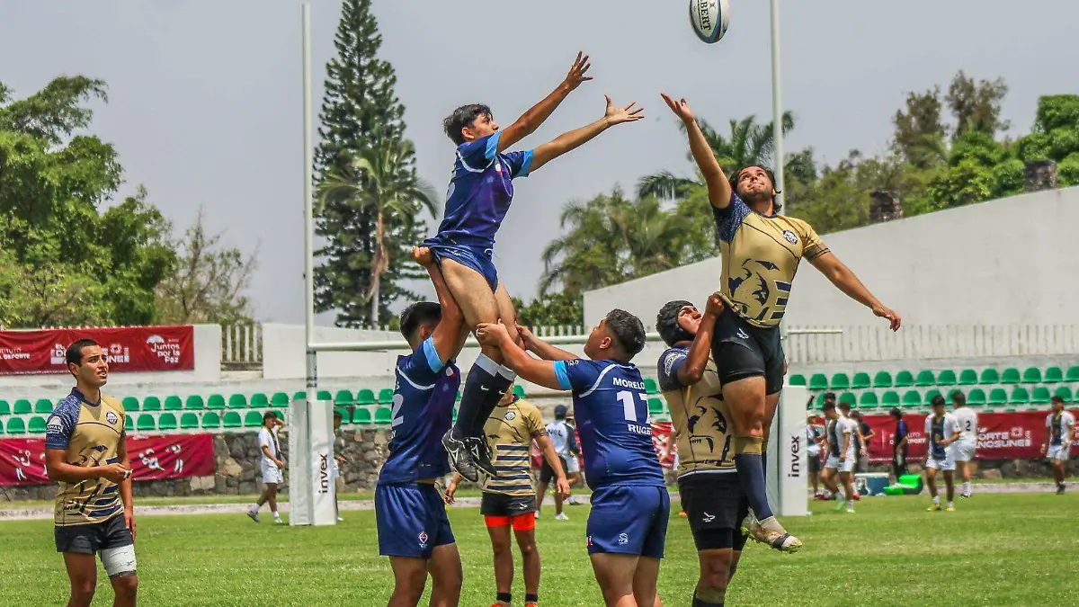 rugby